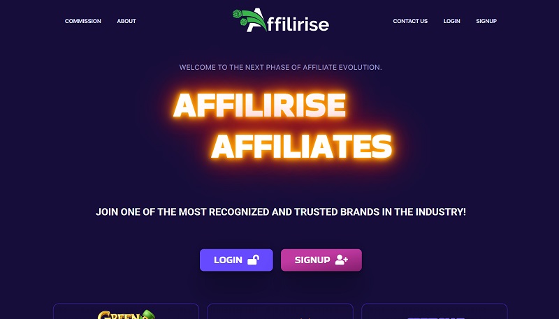 Affilirise Affiliates website & screenshot
