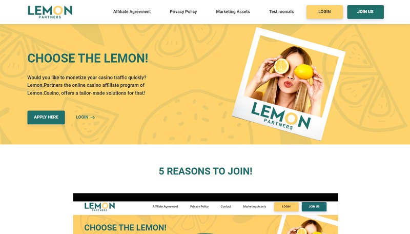 Lemon Partners website & screenshot