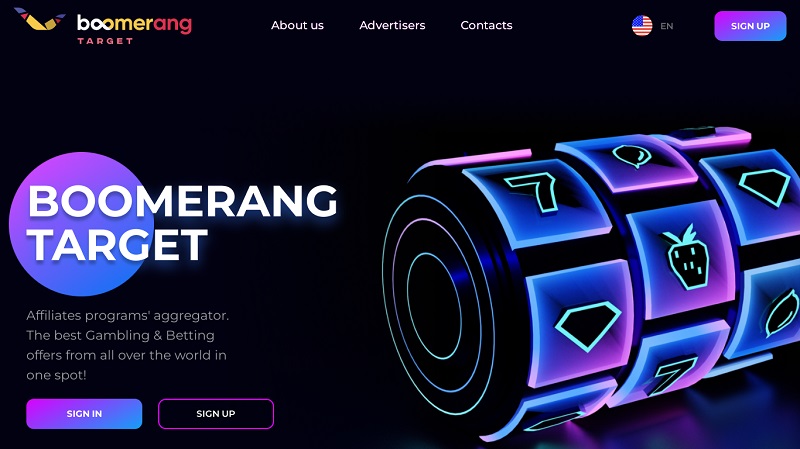 Boomerang Target website & screenshot