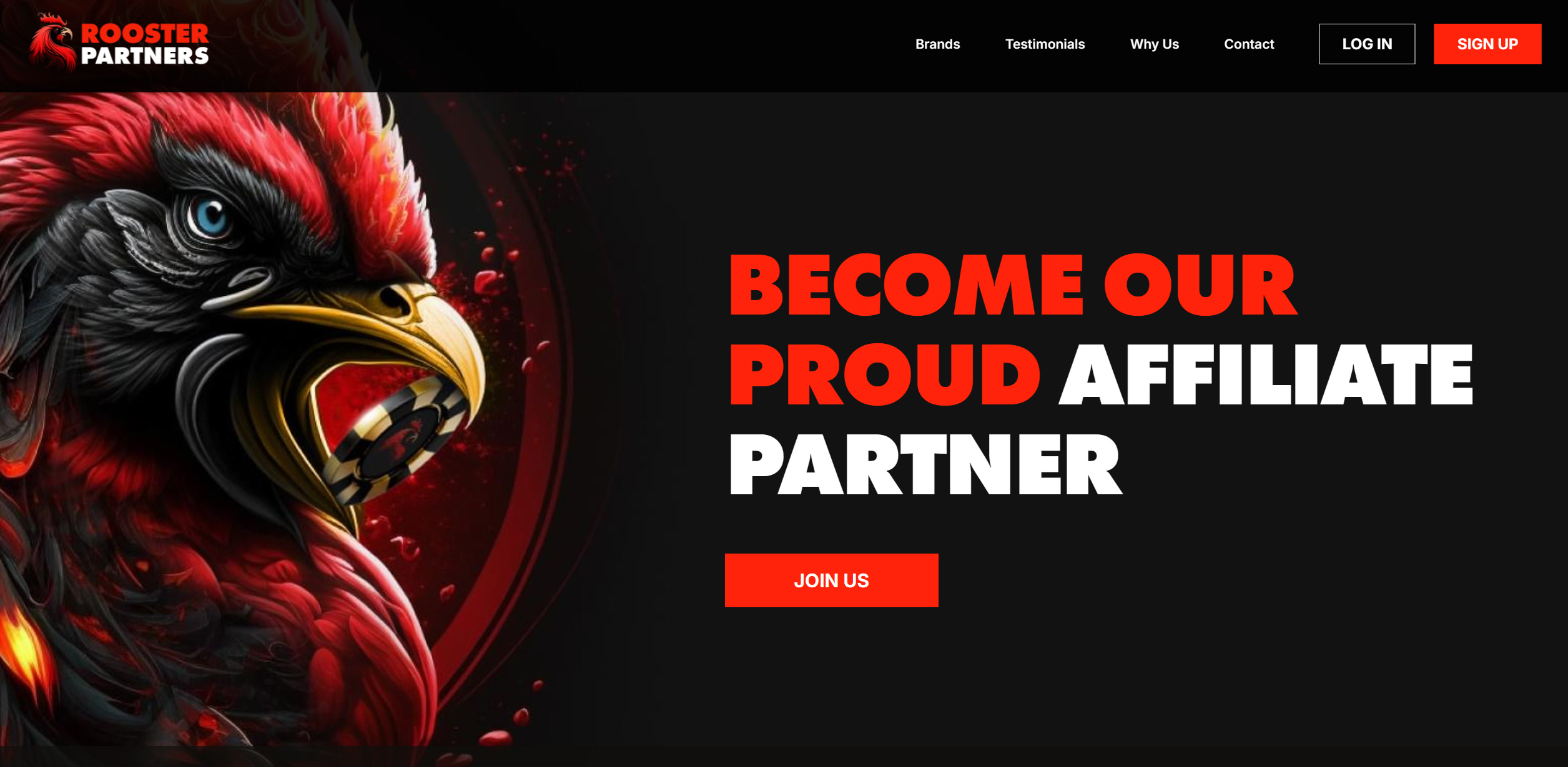 Rooster Partners website & screenshot