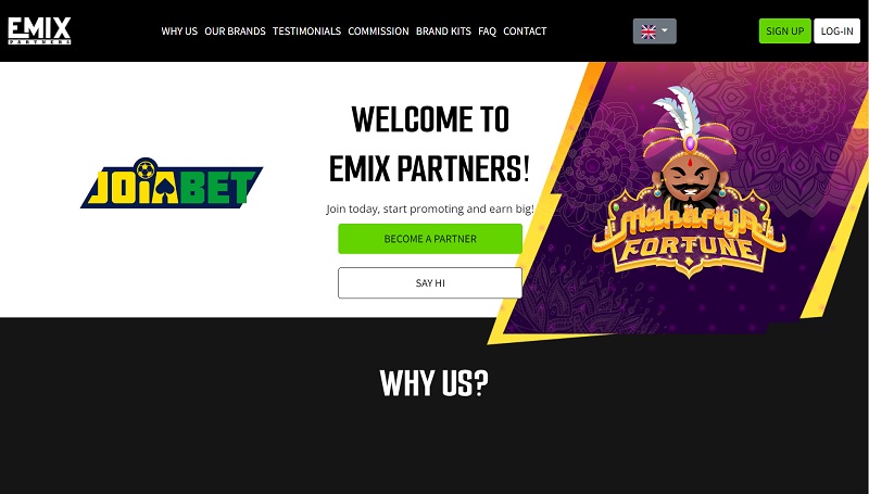 Emix Partners website & screenshot