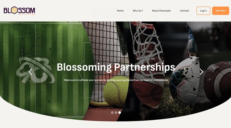 Blossom Affiliates website & screenshot