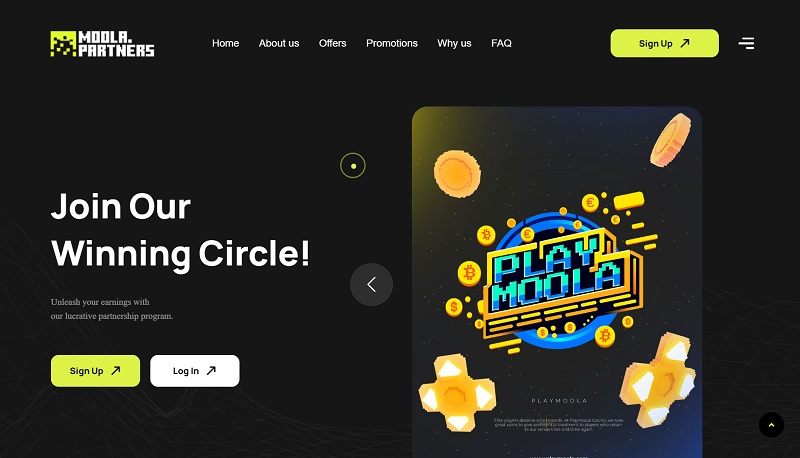 Moola Partners website & screenshot