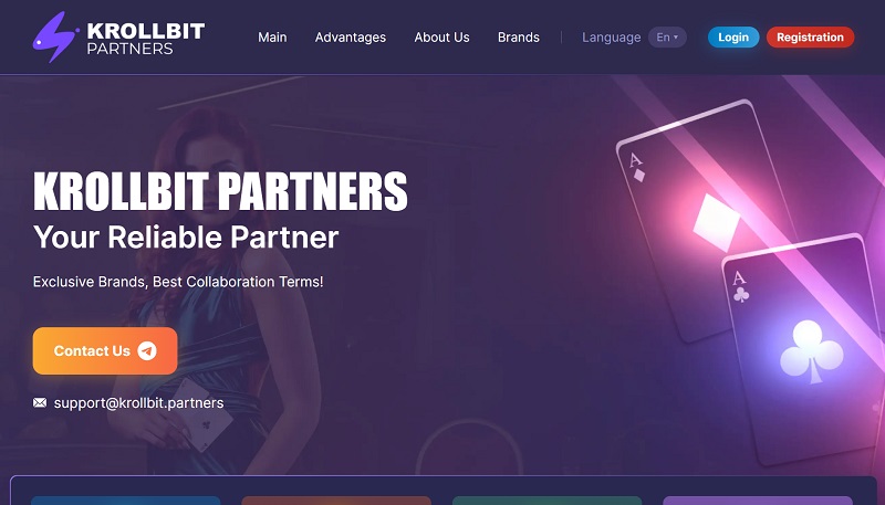 Krollbit Partners website & screenshot