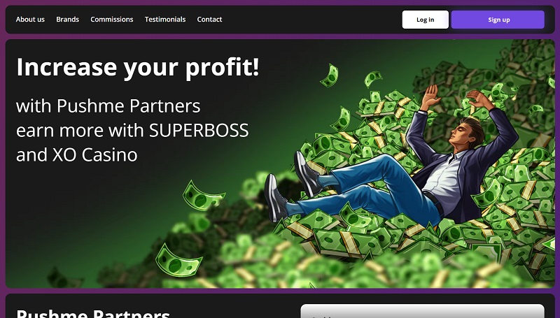 Pushme Partners website & screenshot