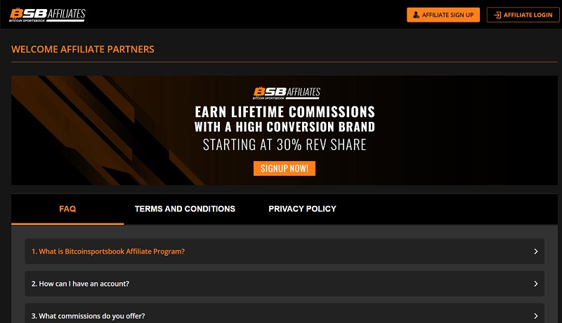 BSB Affiliates website & screenshot