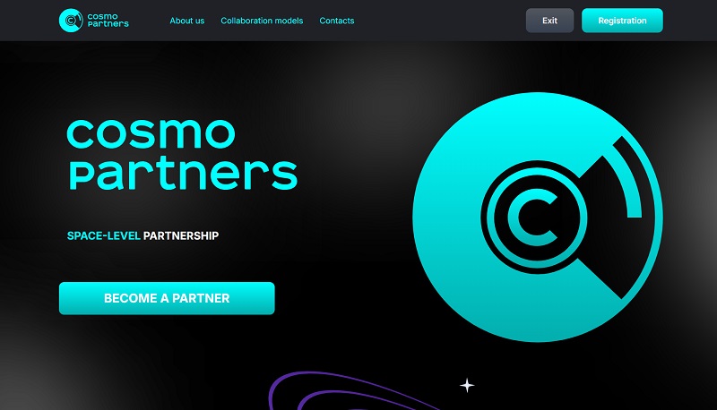 Cosmo Partners website & screenshot