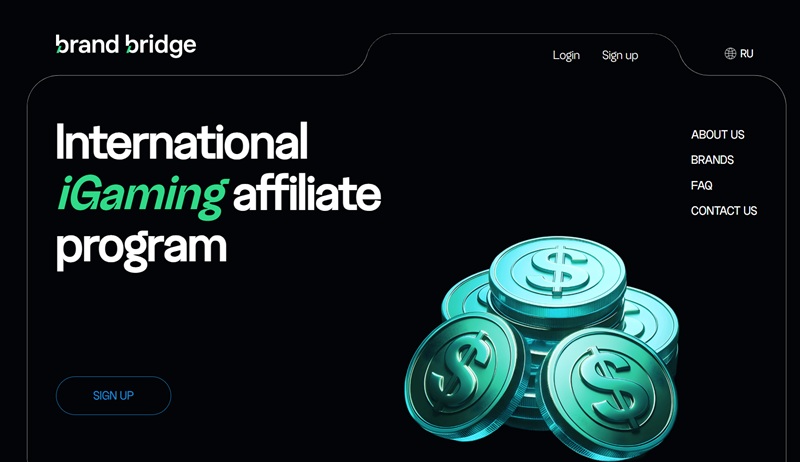 BrandBridge Partners website & screenshot