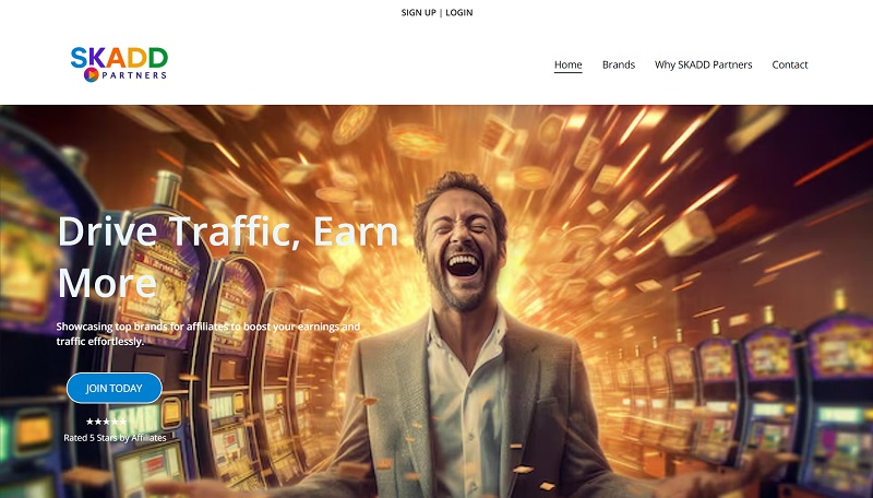 Skadd Partners website & screenshot
