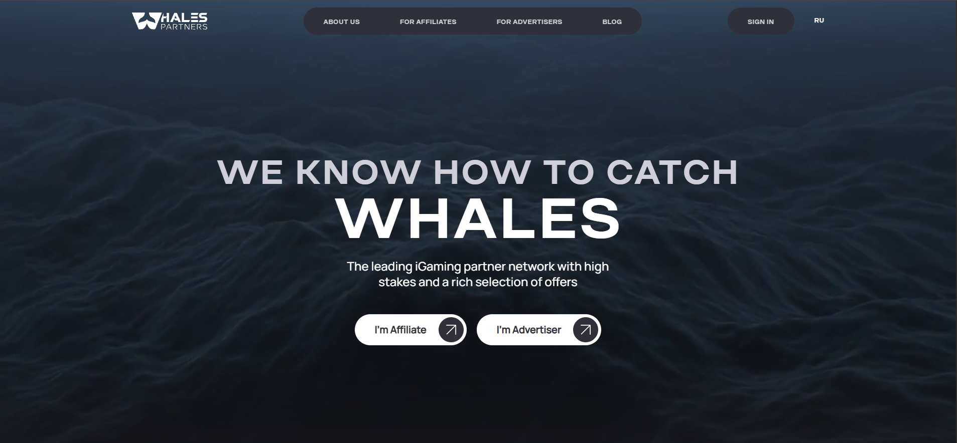 Whale Partners website & screenshot