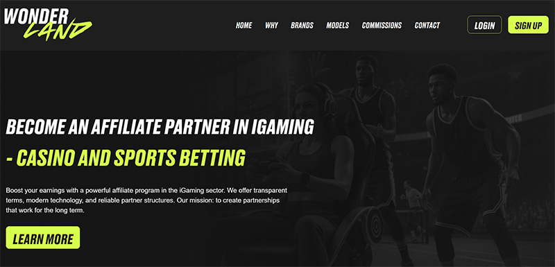 Wonderland Partners website & screenshot