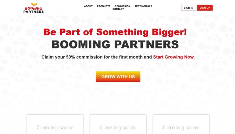 Booming Partners website & screenshot