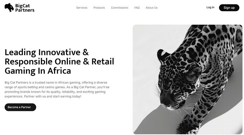 BigCat Partners website & screenshot