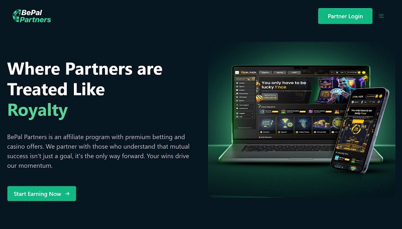 BePal Partners website & screenshot