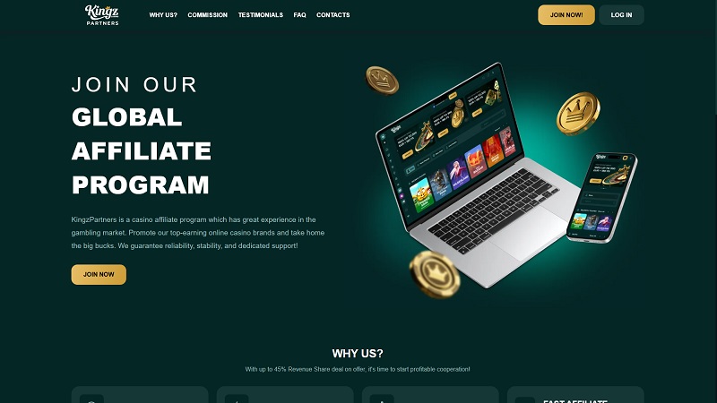 Kingz Partners website & screenshot