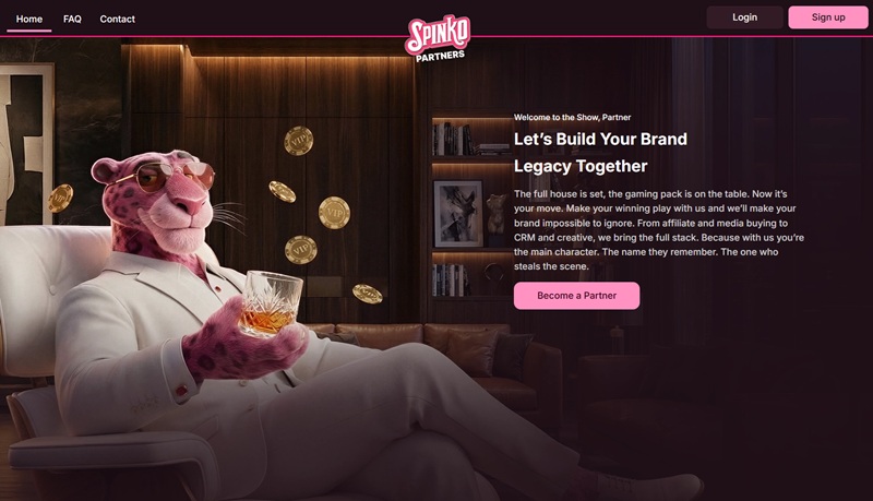 Spinko Partners website & screenshot