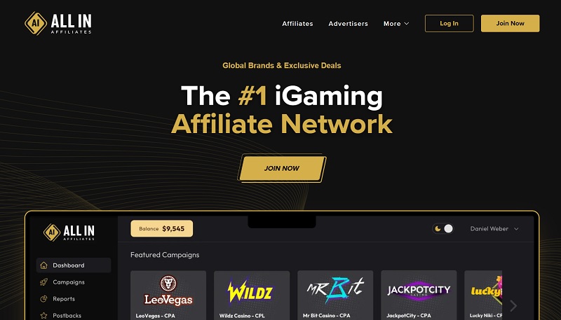 All In Affiliates website & screenshot