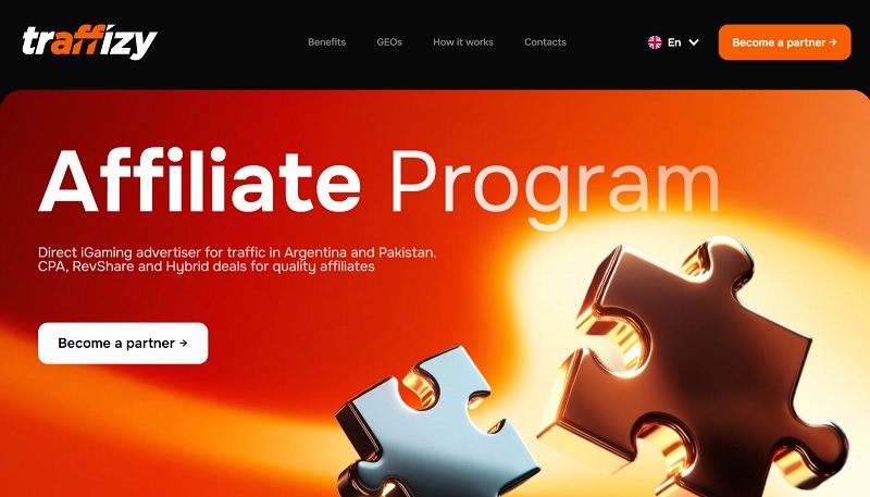 Traffizy Partners website & screenshot