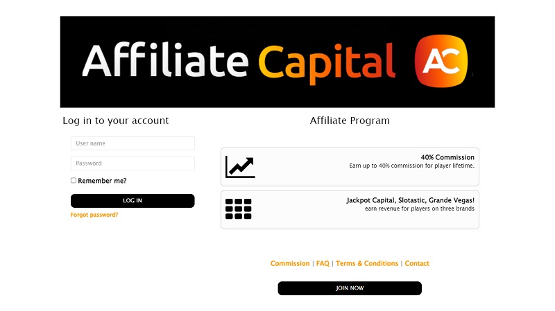 Affiliate Capital website & screenshot