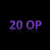 2Options Partners Logo