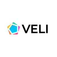 Veli Partners - logo