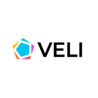 Veli Partners Logo